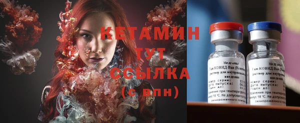 шишки Новодвинск
