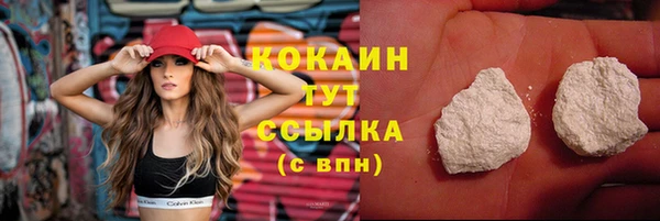 шишки Новодвинск