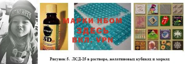 шишки Новодвинск