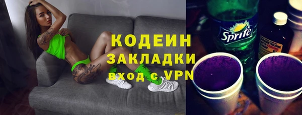 шишки Новодвинск
