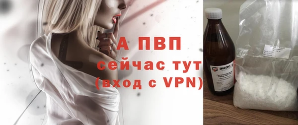 шишки Новодвинск