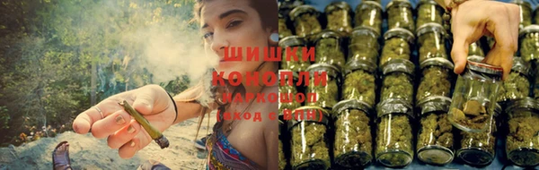 шишки Новодвинск