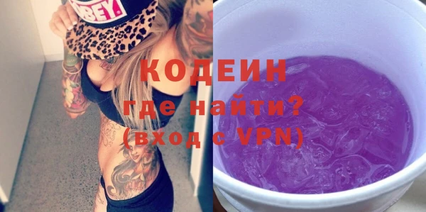 шишки Новодвинск