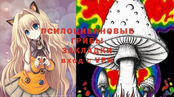дурь Новокубанск